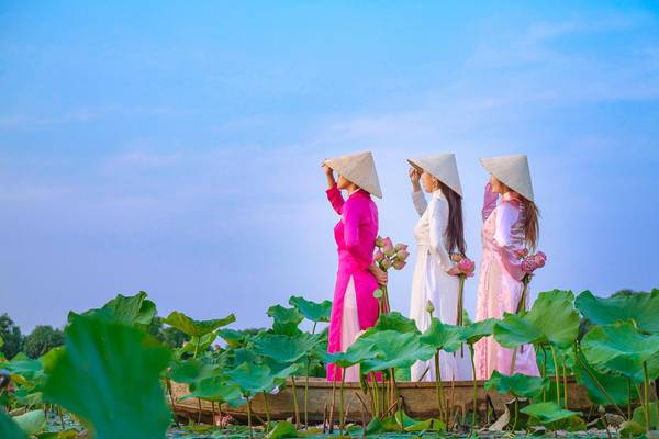 Vietnamesische Frauen bei der Lotusernte