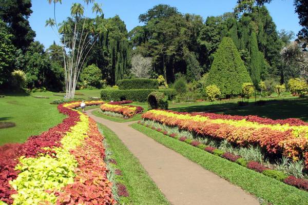 Peradeniya7