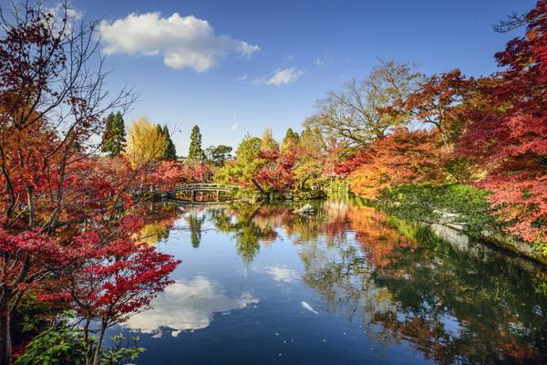 JP_Kyoto_Herbst_GI-524777367