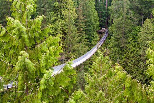 Kanada, Tour Nord-Vancouver, Capilano Hängebrücke