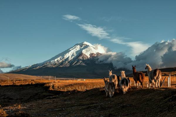 Cotopaxi-Vulkan