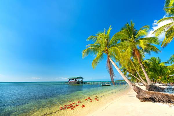 Phu Quoc, Strand mit Palmen