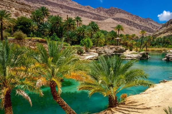 Oman, Landschaft Oase