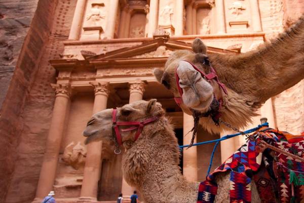 Jordanien, Felsenstadt Petra mit Kamelen