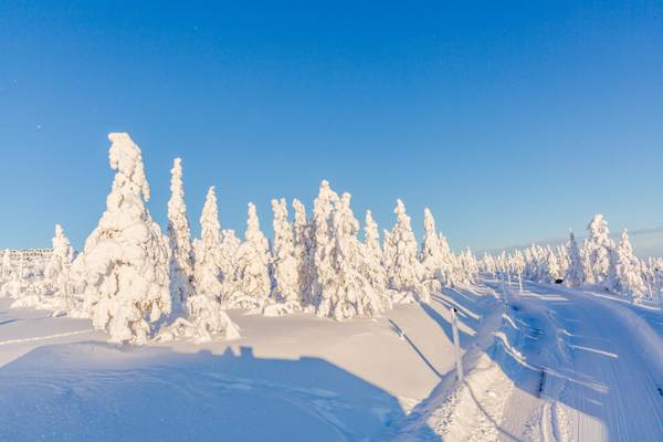 Finnland, Lappland, Winterlandschaft