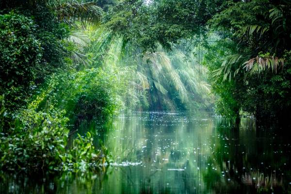 Costa Rica, Tortuguero-Nationalpark