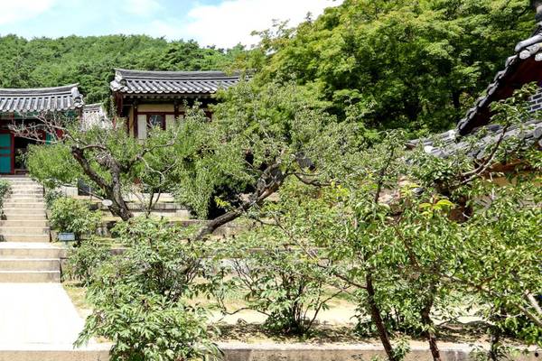 Traditionelle Häuser in Dosanseowon