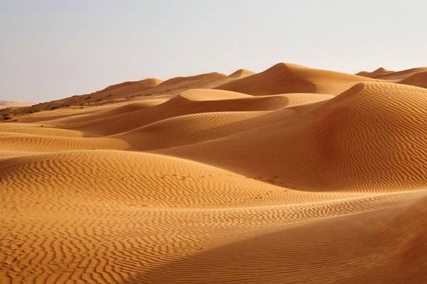 Dünen in der Wüste