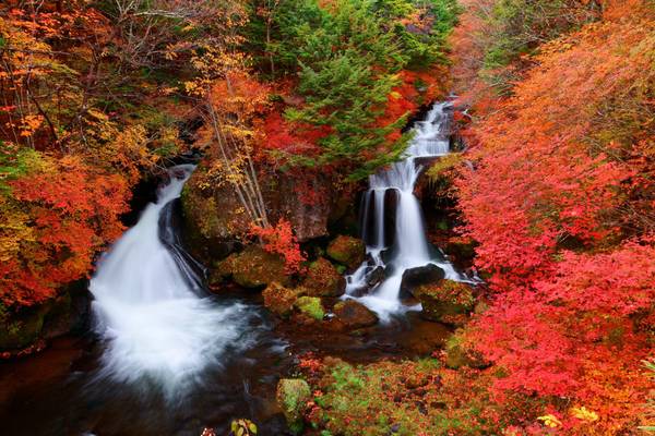 Nikko, Nationalpark im Herbst