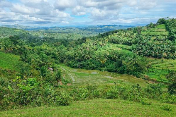 Philippinen, Bohol, Cadapdapan Reisterrassen