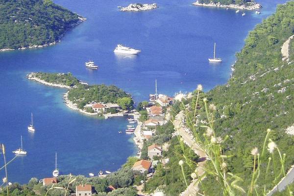 Blick auf Mljet