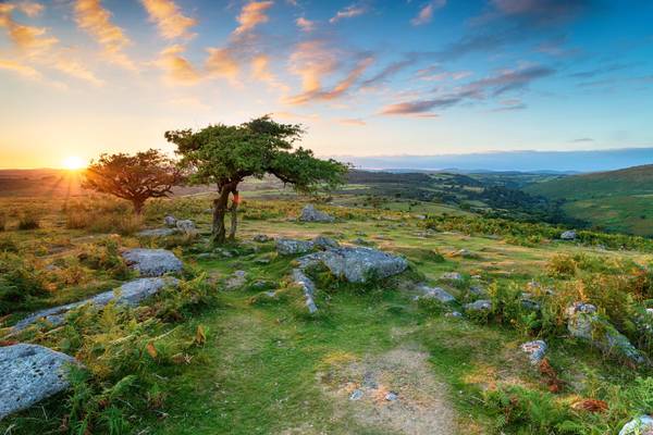 Vereinigtes Königreich, Dartmoor
