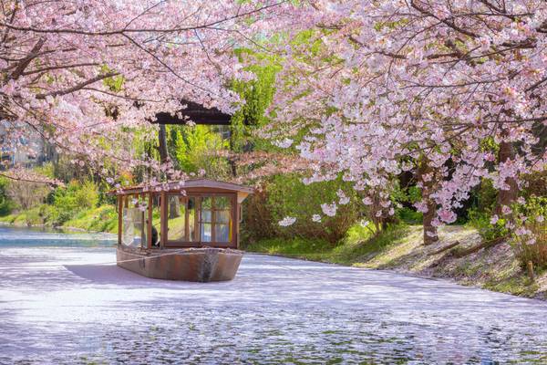 Japan, Kyoto, Fushimi-Jikkokubune Bootstour