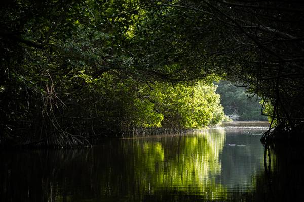 Mexiko, Rio Lagartos