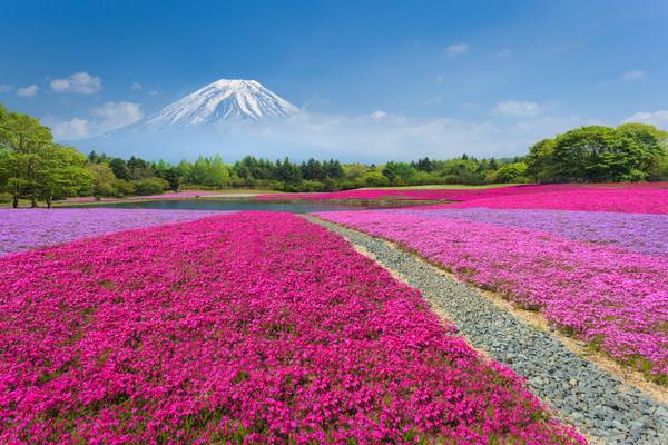 Japan, Fuji Landschaft