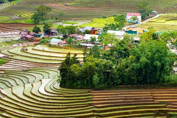 Reis-Terrassen bei Lao Cai
