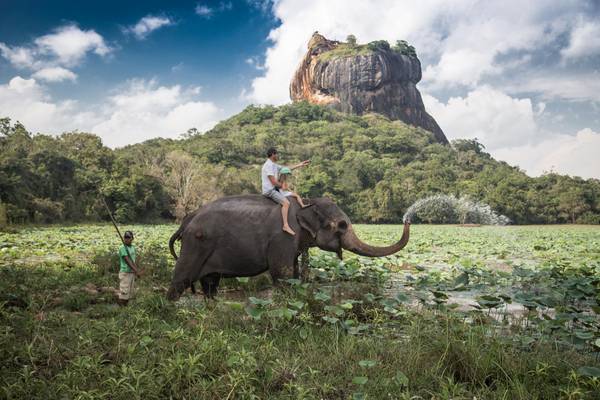 Sri Lanka, Löwenfelsen mit Elefant in Sigiriya