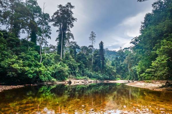 Malaysia, Taman Negara Nationalpark, Fluss